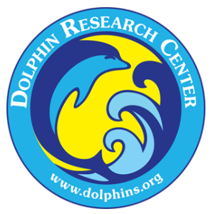 Blue Logo for Dolphin Research