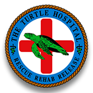 Red Logo for Turle Hospital